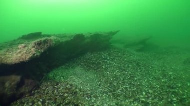 Kalkerli kayaların özgün sualtı kabartma.