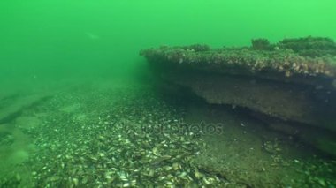 Kalkerli kayaların özgün sualtı kabartma.