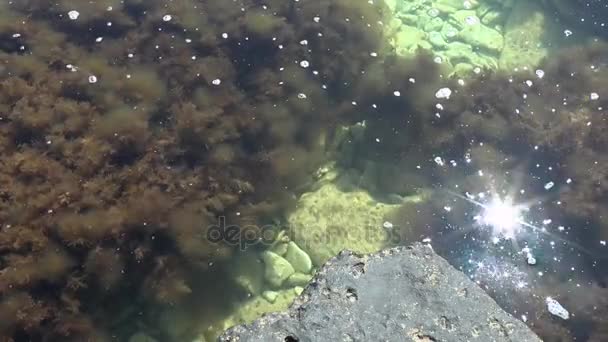 Solar glare is reflected in the water surface in shallow water. — Stock Video