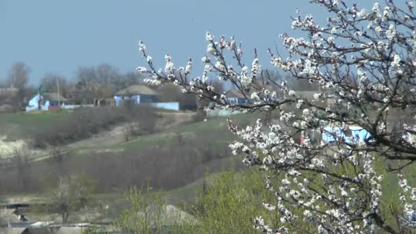 Primavera ucraniana paisaje rural . — Vídeo de stock