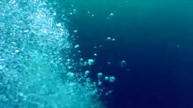 Küçük hava kabarcıkları derinliklerinden yükselen bir bulut.