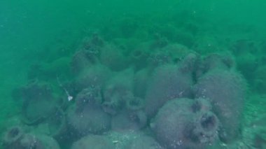Sualtı Arkeoloji: deniz dibinin üzerinde antik Yunan amphoras.