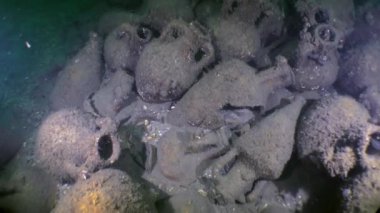 Antik Yunan gemisinin kaza yeri: amphora deniz dibinin üzerinde oluşan bir küme.