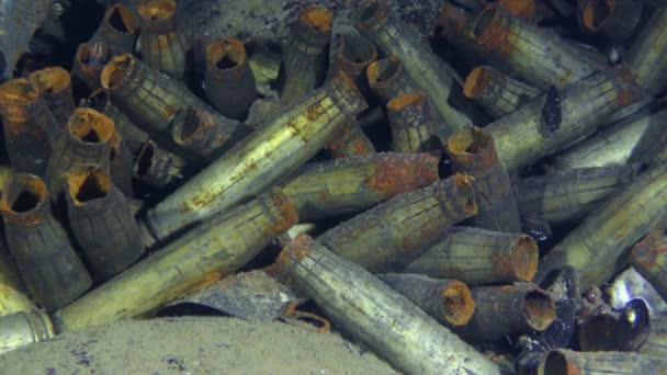 Basura en el mar: cajas de ametralladoras en el fondo del mar . — Vídeos de Stock