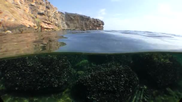Split: costa rocciosa dall'alto, rocce sottomarine dal basso . — Video Stock