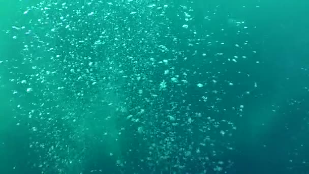 Eine Feder aus kleinen Luftblasen, die aus der Tiefe aufsteigen. — Stockvideo