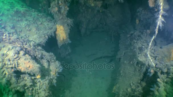 Tubes torpilleurs de sous-marins submergés . — Video