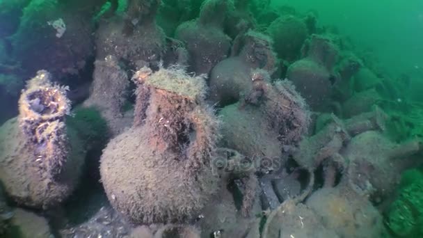 Un gran número de ánforas griegas antiguas en el fondo del mar . — Vídeos de Stock