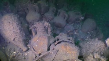 Antik Yunan gemisinin kaza yeri: amphora deniz dibinin üzerinde oluşan bir küme.