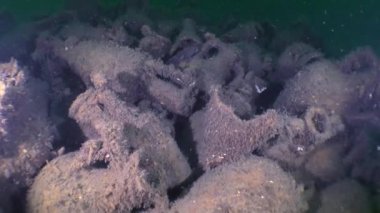 Antik Yunan gemisine çöküşü yeri: amphoras deniz dibinin üzerinde oluşan bir küme.