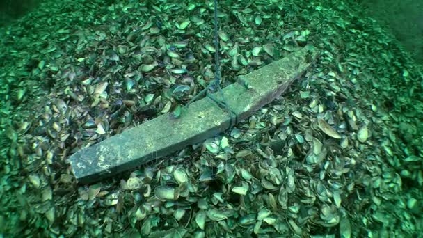 Plumbum fragment van het Oudgrieks anker op de zeebodem. — Stockvideo