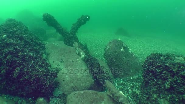 Âncora de ferro turco 17-18 século no fundo do mar . — Vídeo de Stock