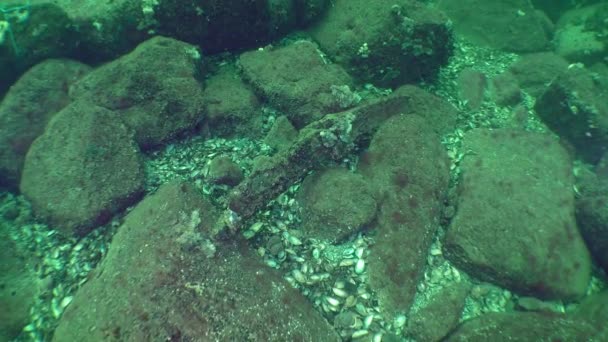 Plumbum fragment of the Ancient Greek anchor on the seabed. — Stock Video