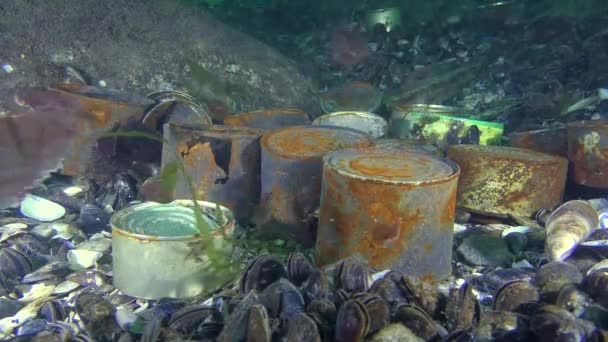 Pollution of the sea: metal cans on the seabed. — Stock Video