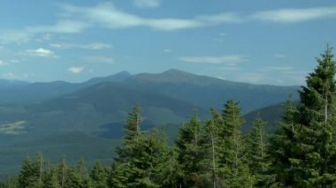 Ön planda bir çam ormanı ile dağ manzarası.