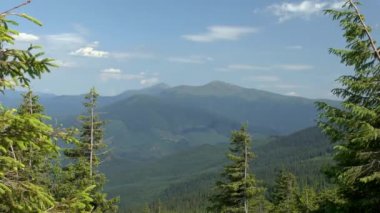 Orman ağaçları arasındaki boşluğu içinde dağ manzarası.