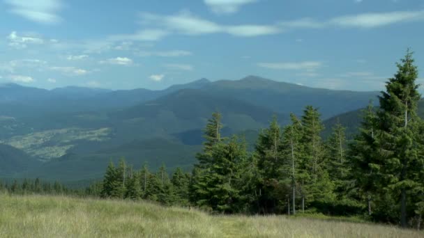 Paysage de montagne avec une forêt d'épinettes au premier plan . — Video