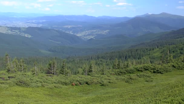 Bergslandskap: berg täckt av skog. — Stockvideo