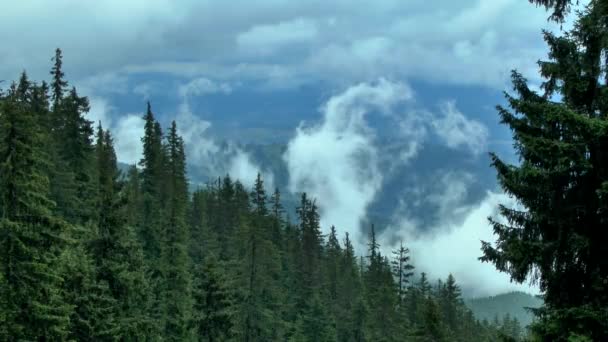 Movement of clouds in a mountain valley. — Stock Video