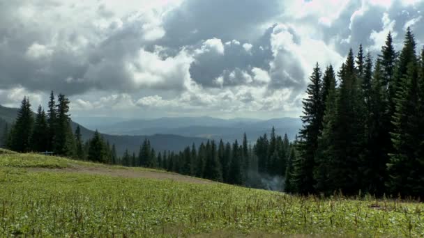 森林と曇り空に覆われた山々. — ストック動画