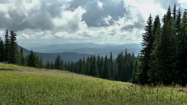 Berge mit Fichtenwald im Vordergrund. — Stockvideo