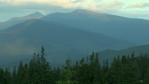 Paysage montagneux avec une forêt d'épinettes le soir . — Video