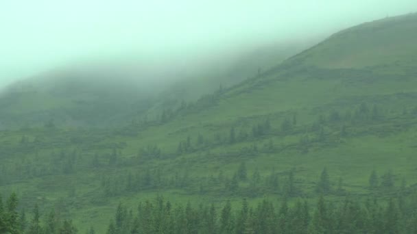 Гірський схил за хмарою дощу. Прискорена зйомка . — стокове відео