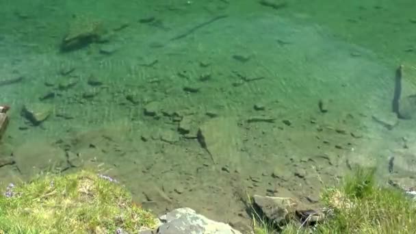 Bergmeer: helderste water in de buurt van de kust, zie je steentjes op de bodem. — Stockvideo