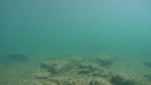 Прозрачные глубины горного озера, солнечный свет, отражающийся на каменном дне . — стоковое видео