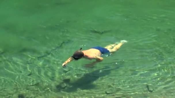 Ένας άνθρωπος σε μια υποβρύχια μάσκα επιπλέει στα καθαρά νερά μιας λίμνης στο βουνό, το top view. — Αρχείο Βίντεο