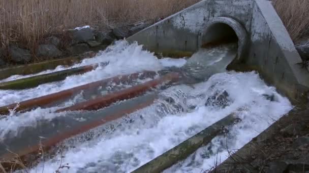 Utsläpp av avloppsvatten i dammen. — Stockvideo