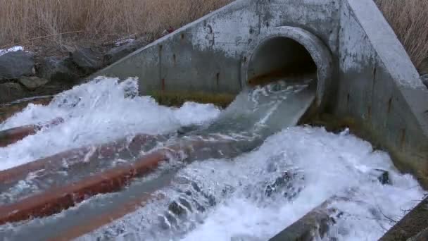 Vergieten van afvalwater in de vijver. — Stockvideo