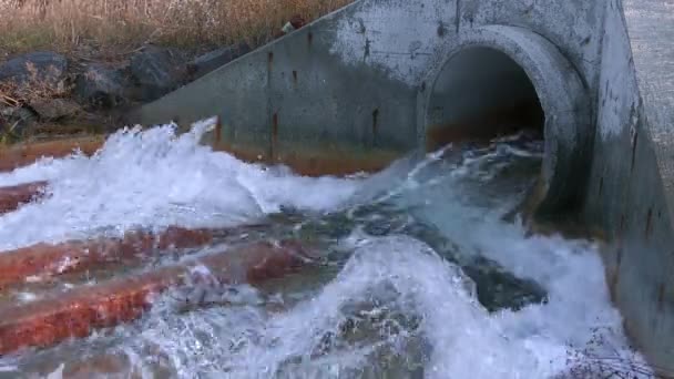 Derrame de aguas residuales en el estanque . — Vídeos de Stock