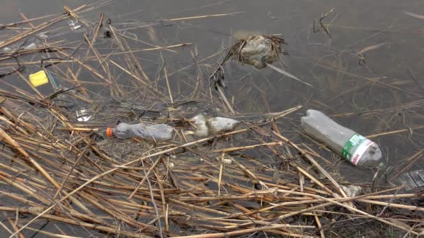 Déchets plastiques dans l'eau près du rivage du réservoir . — Video