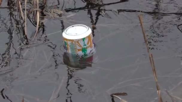 Lixo na lagoa: uma lata de metal da bebida ao lado da costa . — Vídeo de Stock