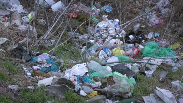 Побутового сміття викидається людей під час відпочинку. — стокове відео