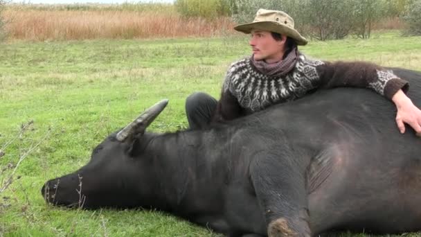 Afrika Manda Cape Buffalo Syncerus Caffer Rehabilitasyon Ukrayna Gazeteciler Için — Stok video