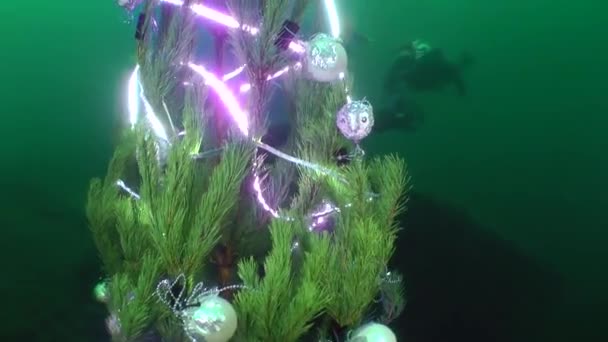 Αστείος όχλος λάμψης: δύτες γιορτάζουν το νέο έτος κάτω από το νερό. — Αρχείο Βίντεο
