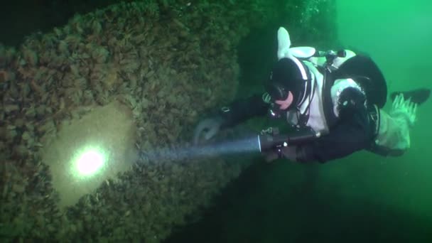 Divers celebrate New Year under water. — Stock Video