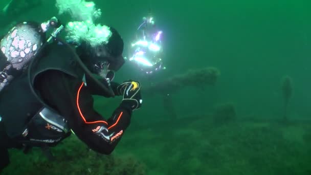 Grappige flitsmeute: duikers vieren Nieuwjaar onder water. — Stockvideo