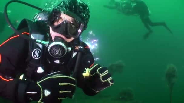 Новогодний праздник под водой . — стоковое видео