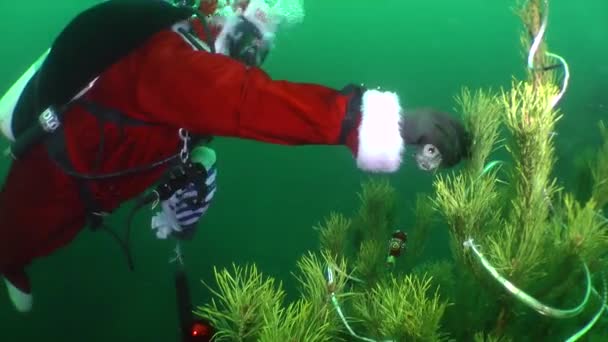 Divers celebrate New Year under water. — Stock Video
