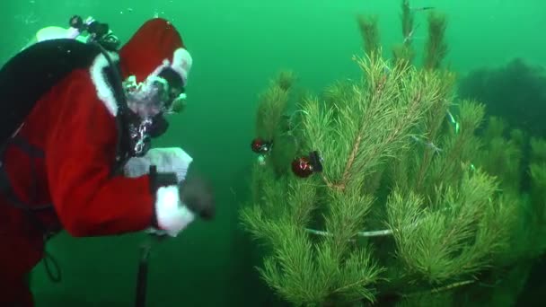 Entertaining flash mob: divers celebrate New Year under water. — Stock Video