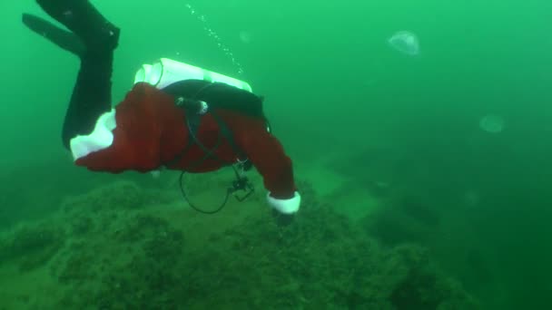 Oddball flitsmeute: duikers vieren Nieuwjaar onder water. — Stockvideo