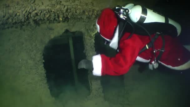 Taucher scherzen: Weihnachtsbaum unter Wasser. — Stockvideo