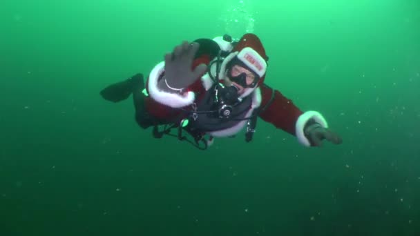 Divers αστείο: Χριστουγεννιάτικο δέντρο κάτω από το νερό. — Αρχείο Βίντεο