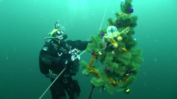Los buceadores arqueológicos celebran el año nuevo bajo el agua . — Vídeos de Stock