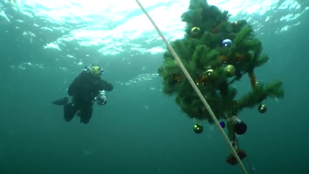 考古学ダイバーは水中で新年を祝う. — ストック動画