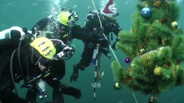 Régészeti búvárok ünneplik az újévet víz alatt. — Stock videók