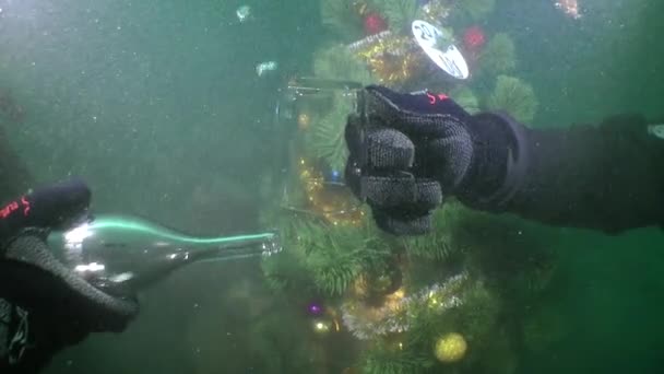 Duikers vieren het nieuwe jaar onder water. — Stockvideo